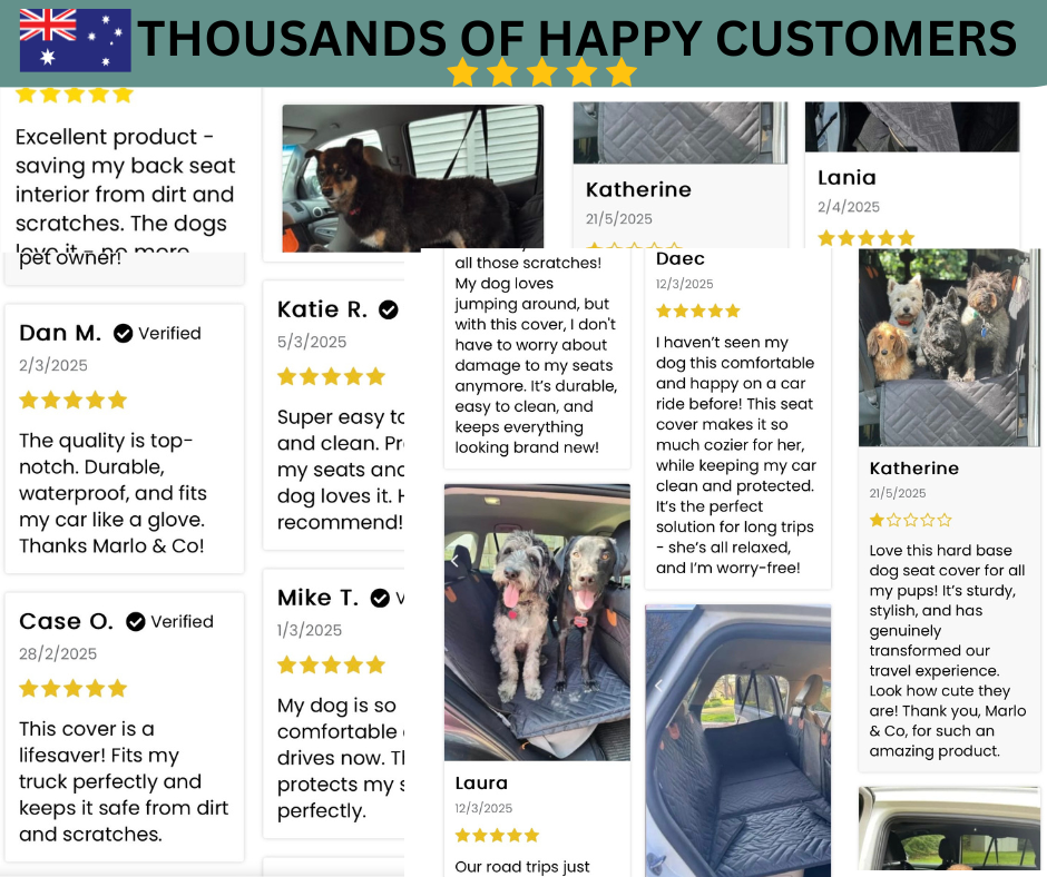 Petdom Premium Dog Seat Cover – Universal Fit for All Cars & SUVs