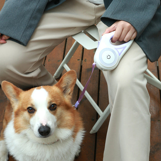 Petdom Australia Retractable Dog Leash with Matching Collar – Automatic One-Button Brake